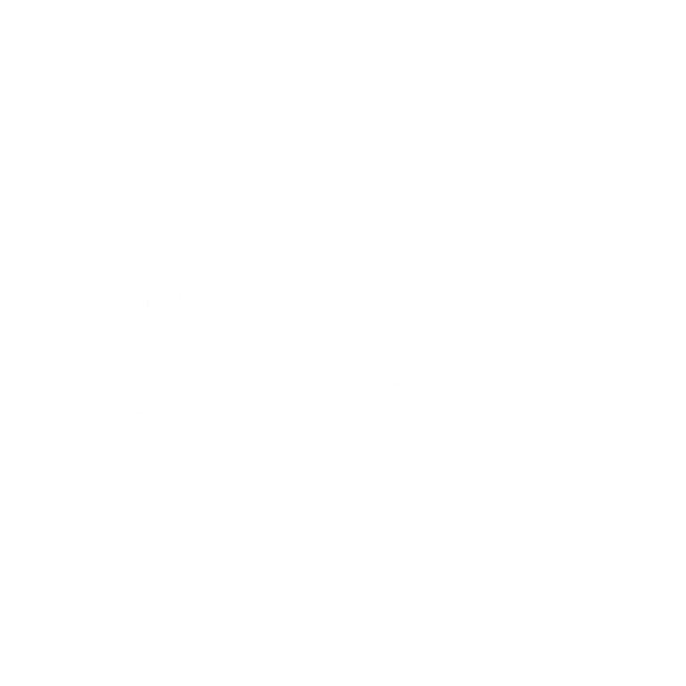 Restore Hair Logo